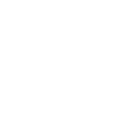 專業(yè)在線指導